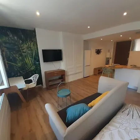 Classe 3 Etoiles Ideal Centre 20 Min De Lyon Apartment Vienne (Isere)